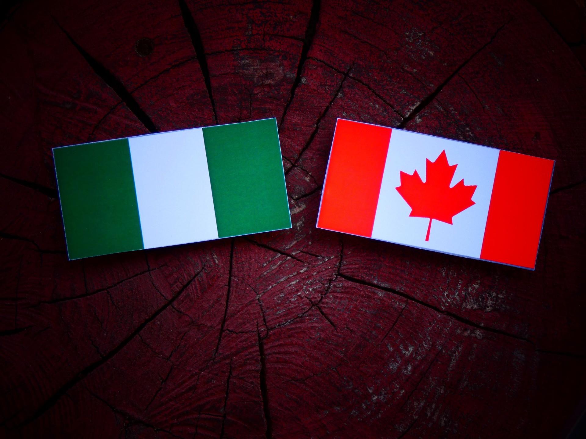 Nigerian flag with Canadian flag on a tree stump isolated